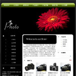 数码摄影器材公司网站